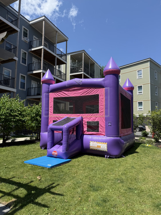 Pink Castle Bouncer