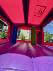 IMG 3405 1751167786 Pink Castle Bouncer